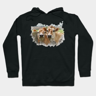 Curious Cows Hoodie